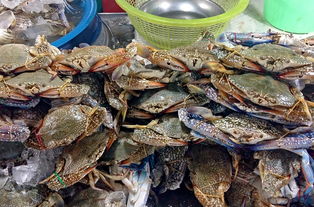 孕妇吃火锅必须要蘸料吗能吃芝麻酱吗